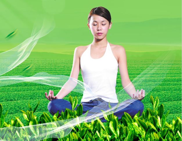 哪里能办理森特学院文凭毕业证